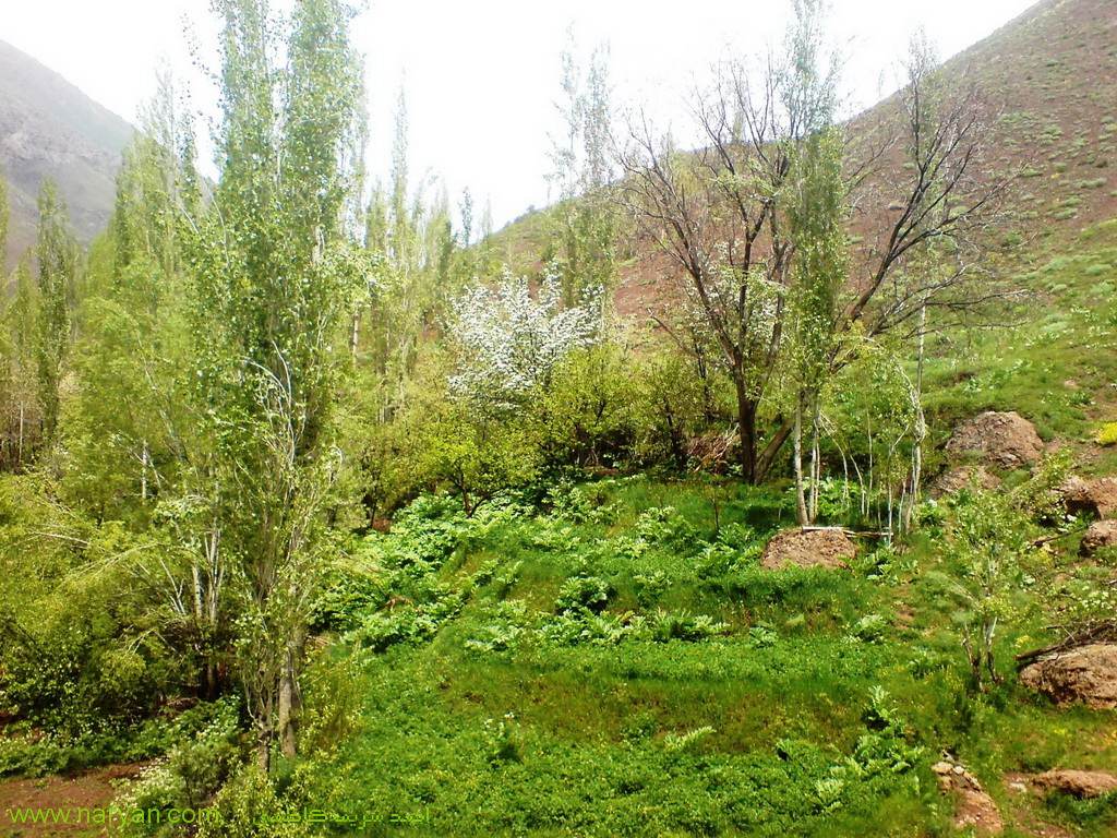 AhmadSharifKazemi1393 (9).jpg
